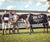 ham polo club
