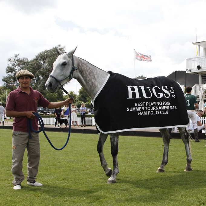 ham polo club