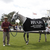 ham polo club