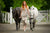ham polo club