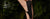 Women's Black Shoes